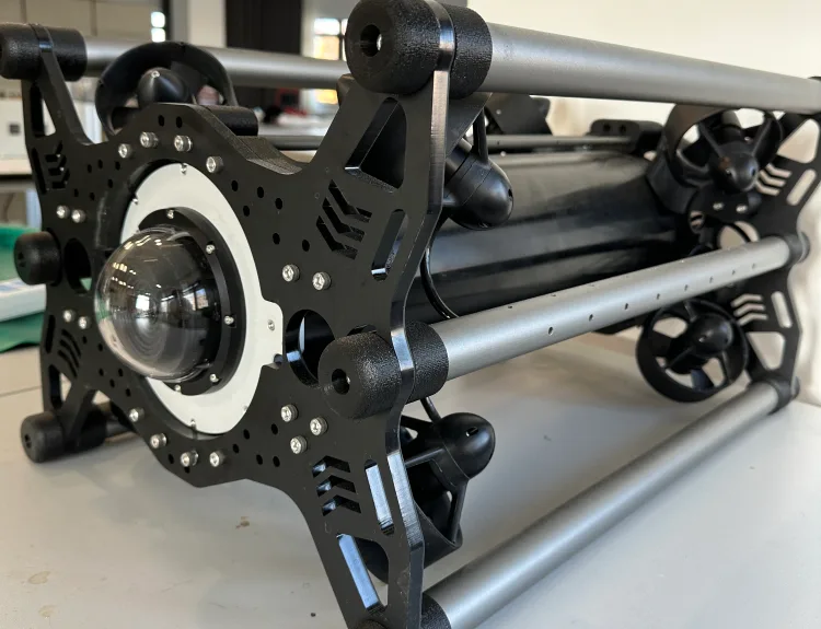 SeaLeopard detail